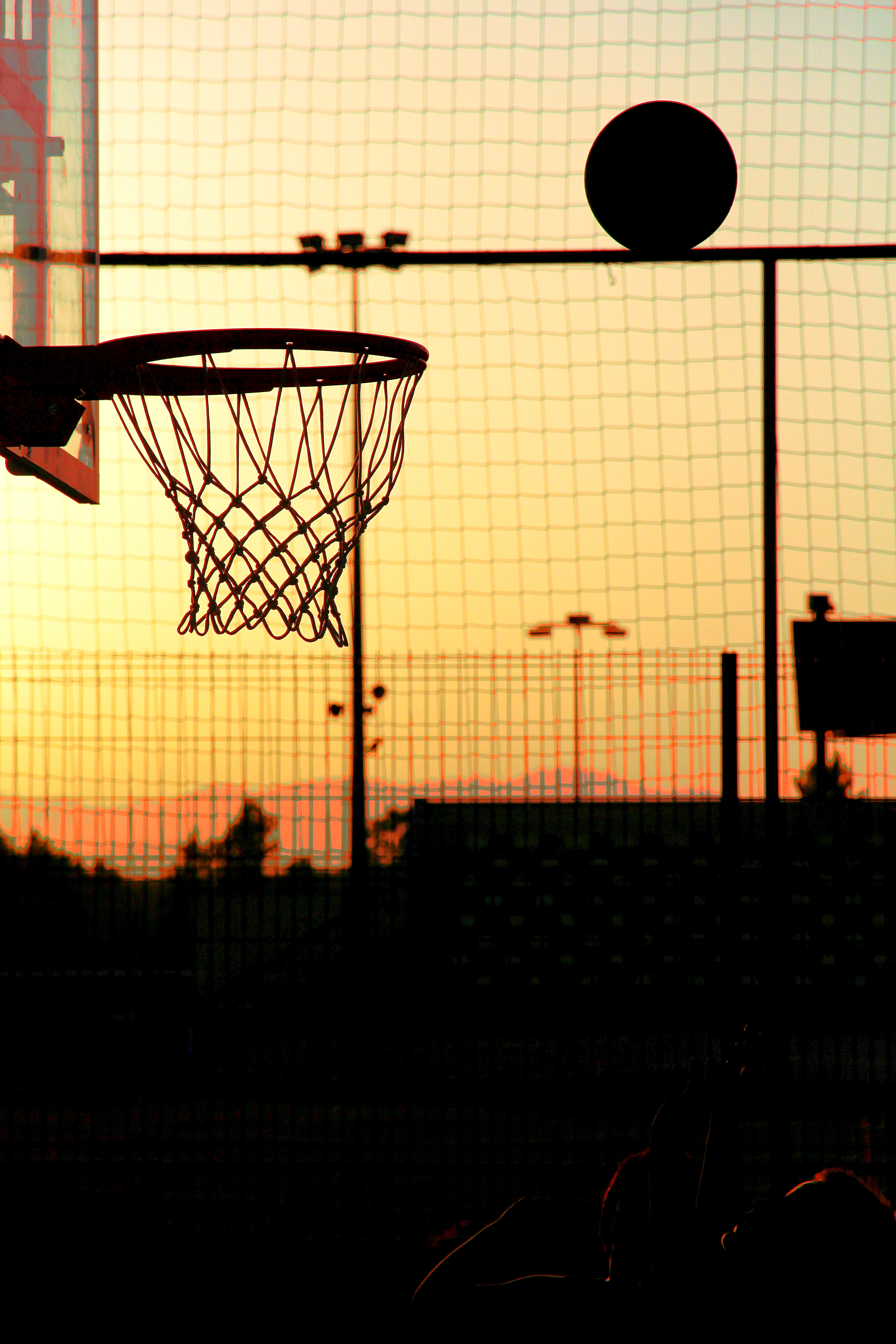 Basketball gallery image