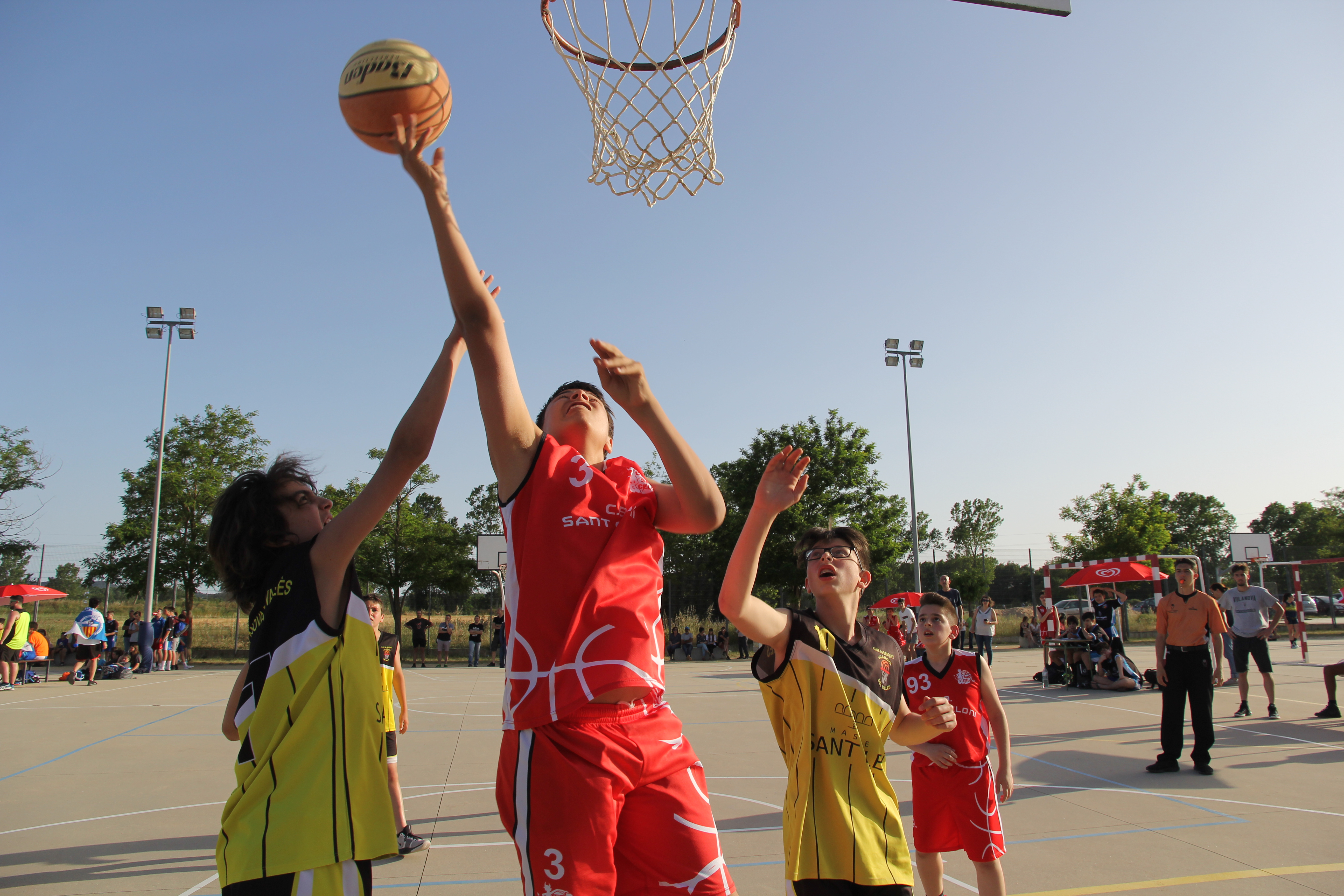 Basketball gallery image